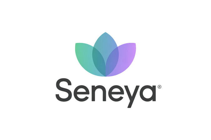 Available Business Name For Sale - Seneya